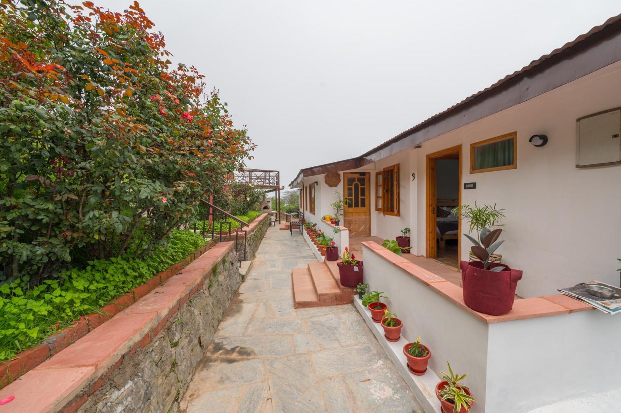 Cedar Hill Lodge - A Boutique Homestay Mashobra Εξωτερικό φωτογραφία