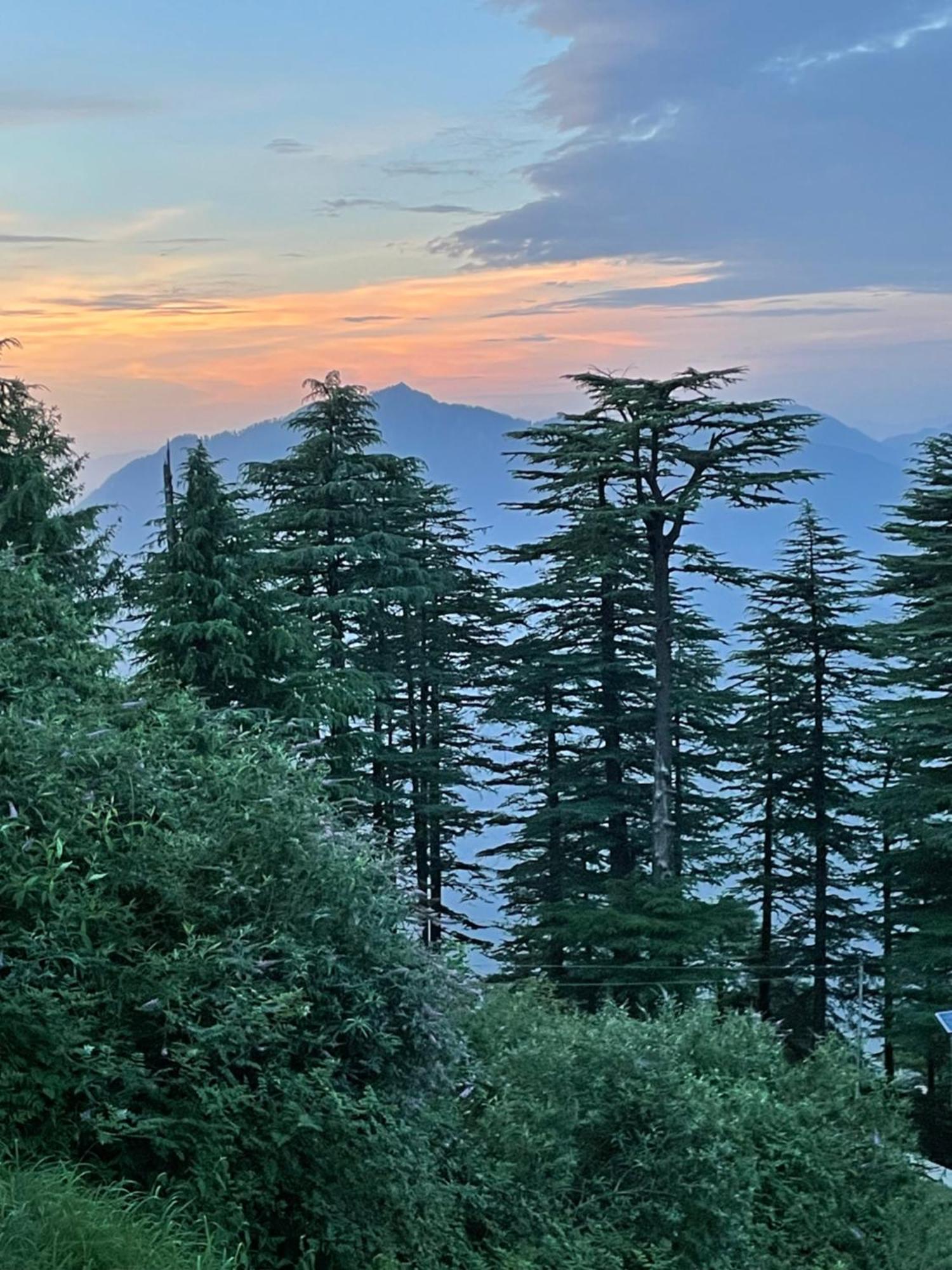 Cedar Hill Lodge - A Boutique Homestay Mashobra Εξωτερικό φωτογραφία